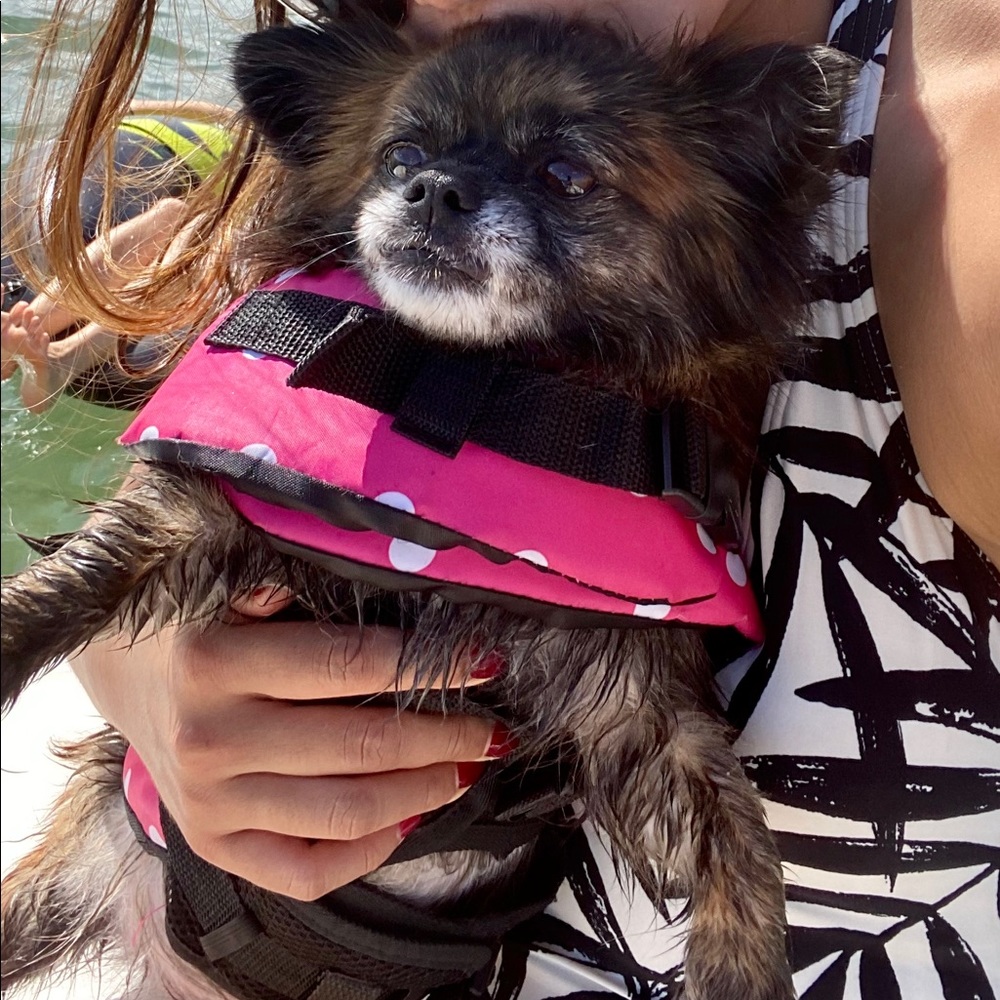 Meet your Posher, Uyenlinh